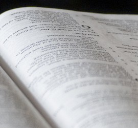bible cropped